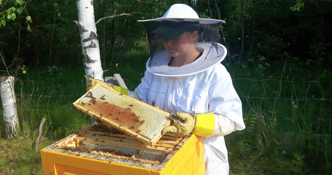 Eevan hunajaa – Kotimaista pientuottajan hunajaa