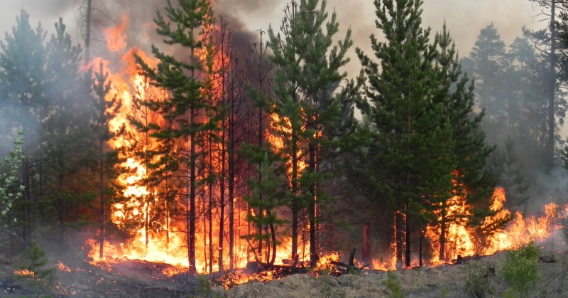 Metsäpalovaroitus voimassa Päijät-Hämeessä